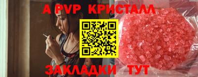 спиды Нальчик