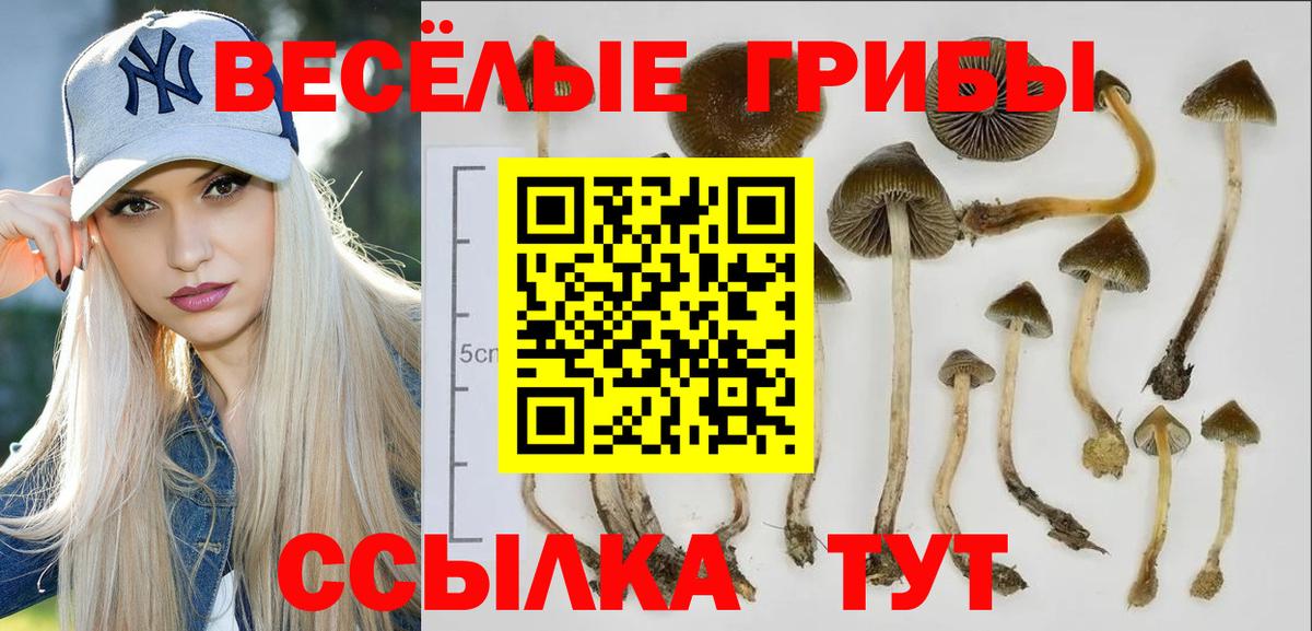 Ревда  Псилоцибиновые грибы Cubensis  Псилоцибиновые грибы мицелий  сколько стоит  Вход с VPN 